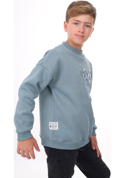 Toontoy Erkek Çocuk Baskılı Sweatshirt Mavi
