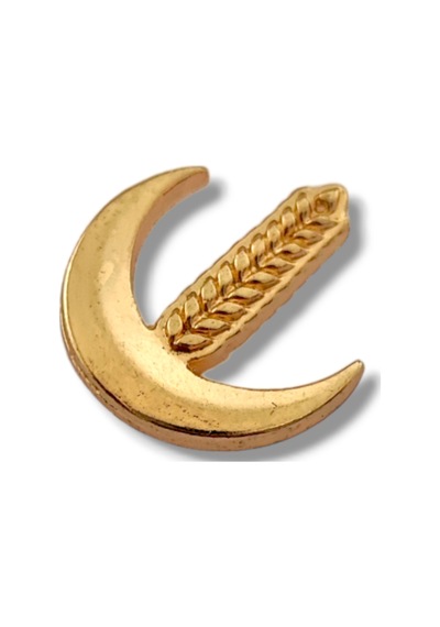Yörük Tasarım Yeniden Refah Partisi Gold Yaka Rozeti