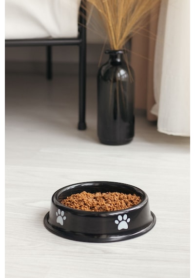 Emaye Kedi Köpek Mama Ve Su Kabı Pati Desen Flame