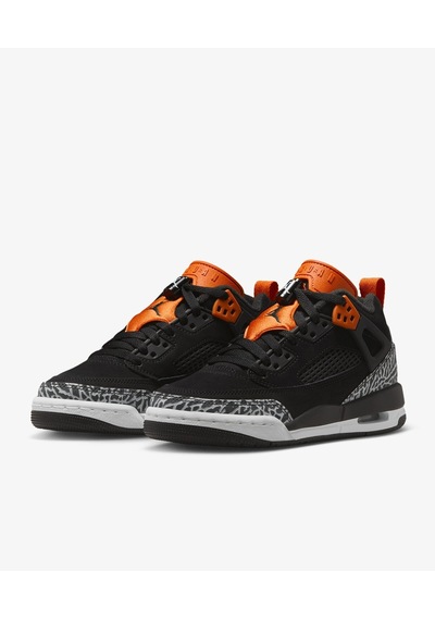 Jordan Spizike Low Fq3950-008 Çok Renkli