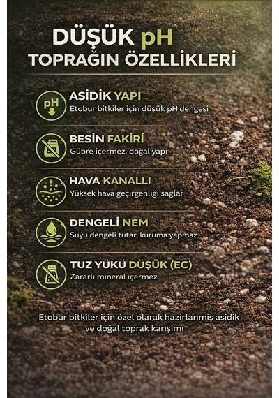 Etobur Bitki Toprağı 5 Litre Düşük Ph Torf Perlit Karışımı Gübre İçermez, Profesyonel Substrat