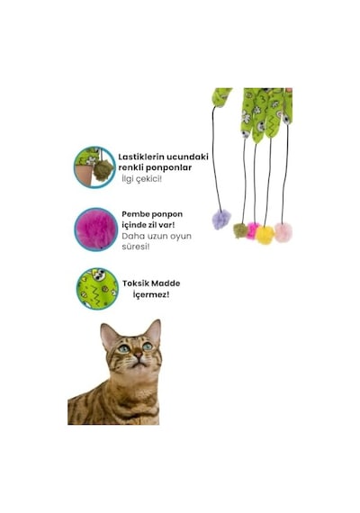 Farmina Pet Foods Quinoa Tahılsız Kedi Sı, Skin & Coat Bıldırcın 1.5 Kg 100 G