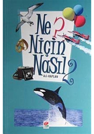 Ne? Niçin Nasıl- 2 / Aslı Kaplan