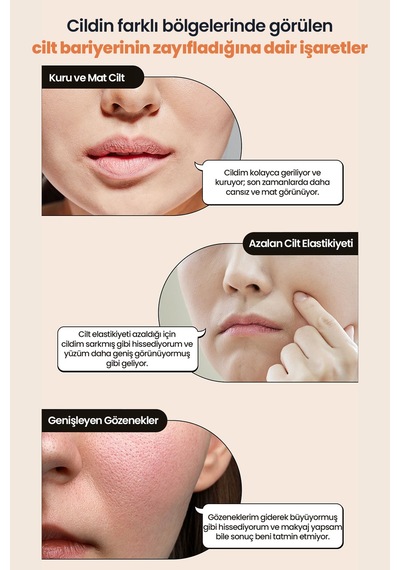 Cilde Sıkı Görünüm Ve Nem Sunan Aydınlatıcı Yaşlanma Karşıtı Serum Telse Black Bean Ceramide Serum