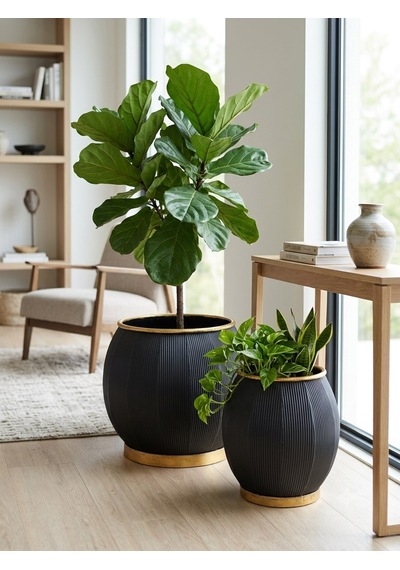 Panalı Metal Siyah Dekoratif Saksı Büyük 37 X 31 Cm