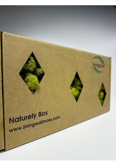 Reindermoss Şoklanmış Norveç Yosunu Terarium Yosunu Lime Green 500 Gr.