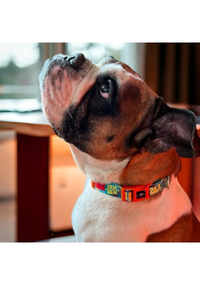 Recycled Köpek Boyun Tasması Yeşil Gimme L Çok Renkli