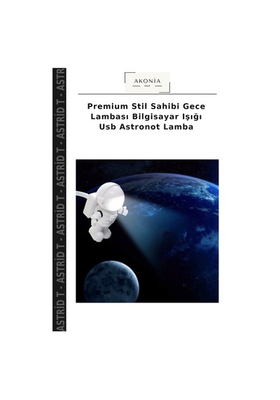 Premium Stil Sahibi Gece Lambası Bilgisayar Işığı Usb Astronot Lamba