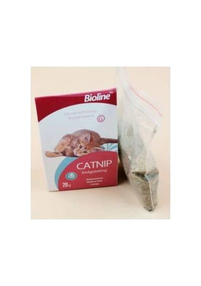 Northcity Catnip Kedi Otu 20 Gr