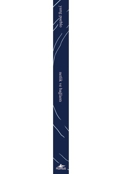 Netlik Ve Bağlantı - İçindeki Evren Üçlemesi 2. Kitap Yung Pueblo
