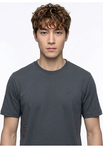 Loft Basic Antrasit Erkek T-shirt Lf2038850