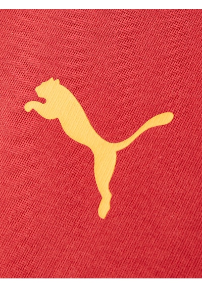 Gsstore Galatasaray Puma Kapüşonlu Sweatshirt 78290801 Kırmızı