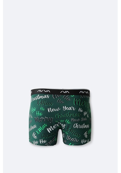 Avva Erkek Yeşil Yılbaşı Desenli Özel Kutulu Tekli Regular Fit Boxer A42y9520