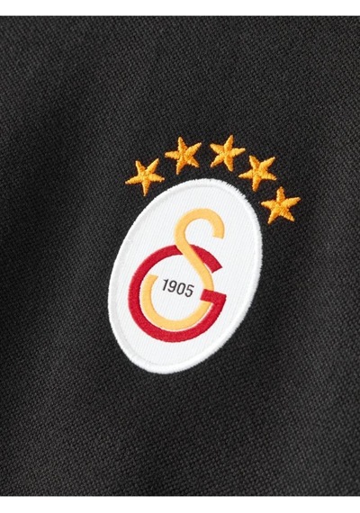 Galatasaray E252220 Ucl Sıyah Erkek T-shirt Siyah