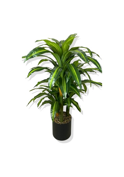 Cihan Çiçekçilik Dracaena Fragrans 3 Gövde Yapay Ağaç 160 Cm Siyah 30x30 Galvaniz Saksı Beyaz- Yeşil