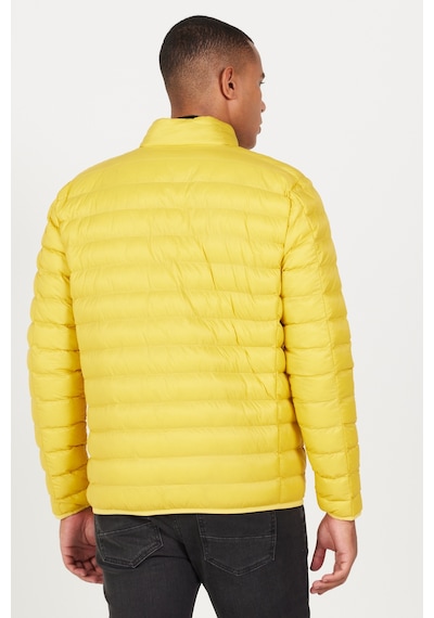 AC&Co / Altınyıldız Classics  Erkek Sarı Standart Fit Normal Kesim Dik Yaka Mont Sarı
