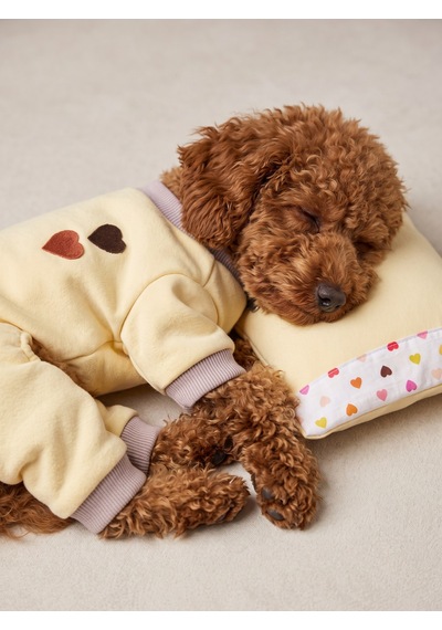 Winter Hearts Köpek Uyku Takımı Pamuklu Penye Köpek Tulumu Ve Mini Yastık Küçük Irklar İçin Tüy Dökülmesini Azaltır