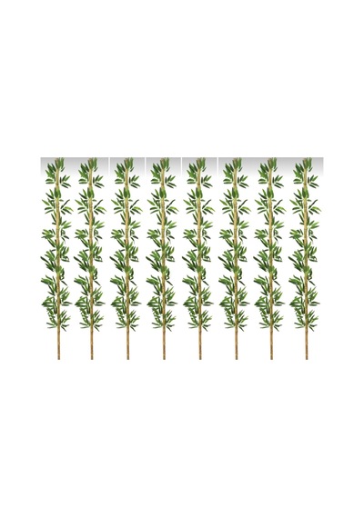 Rüzgar Yapay Çiçekçilik 220 Cm 8 Adet Bambu Yeşil