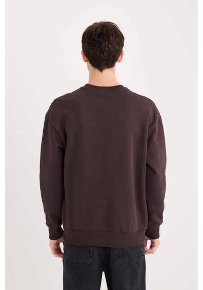DeFacto Boxy Fit Bisiklet Yaka Baskılı Sweatshirt X8282AZ24AUBN337