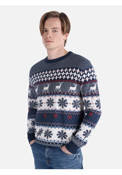 Colin's Colins Regular Fit Bisiklet Yaka Çok Renkli Erkek Kazak Cl1065736 Çok Renkli