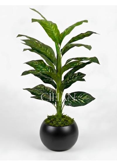 Yapay Difenbahya Ağacı 120 Cm 27x33 Cm Siyah Küre Saksı Beyaz