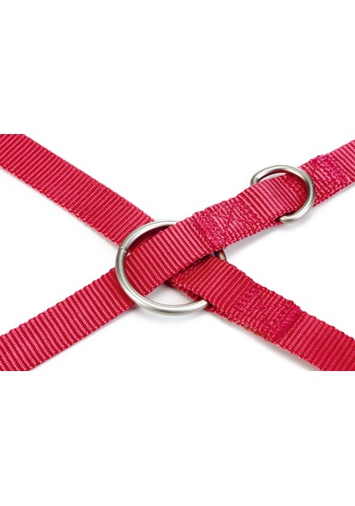Hnrlıshp Beeztees Köpek Gezdirme Kayışı, Pembe, 200cm, 20mm Çok Renkli