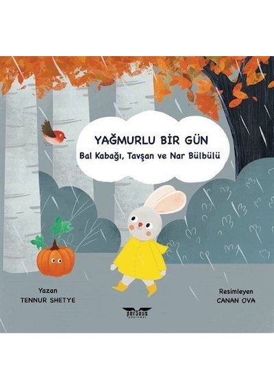 Yağmurlu Bir Gün / Tennur Shetye