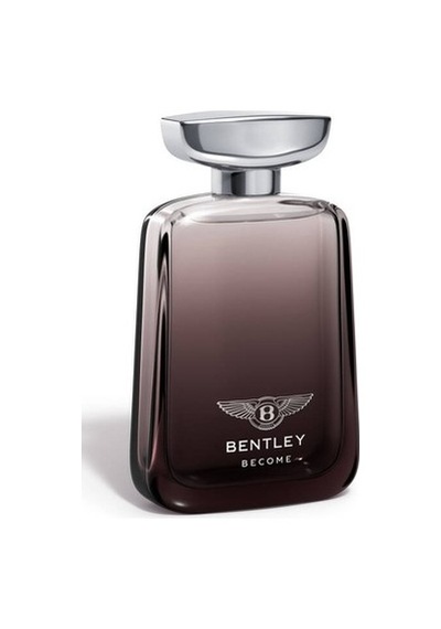 100 Ml Erkek Parfümü, Modern Ve Şık Koku Diğer