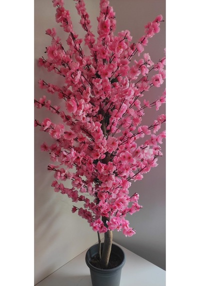 Rüzgar Çiçekcilik 145 Cm Plastik Saksıda Pembe Bahardali Pembe