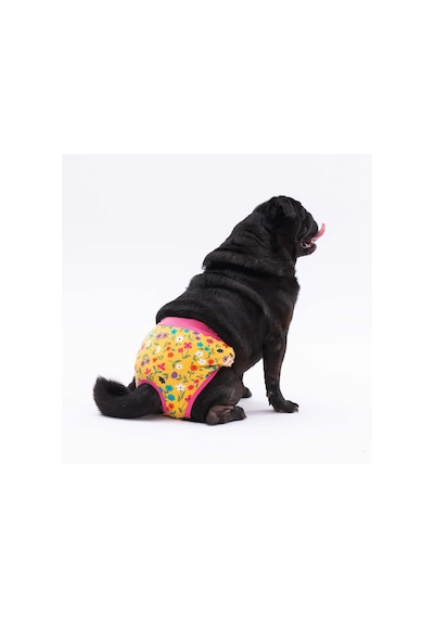 Pawstar Karışık Çiçekli Kedi Köpek Çamaşırı Regl Kilodu 3'lü