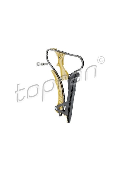 Topran 503189001 Eksantrık Zıncır Setı Bmw N42 B20 N46 B20 E46 E87 E88 E60 E90 E93 E83 E84 Z4 E85 11311439854-11348649768 Topran 503189001 Eksantrık Zıncır Setı Bmw N42 B20 N46 B20 E46 E87 E88 E60 E90 E93 E83 E84 Z4 E85 11311439854-11348649768