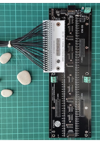 24 pin IDC'den vidasız klemense dönüştürme adaptörü