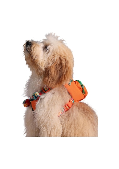 Design, Turuncu, Çantalı Göğüs Tasması, Köpek Sırt Çantası 2 Si 1 Arada Göğüs Tasması Fonksiy