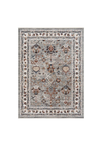 Bohem Vintage Halı 5846c Çok Renkli