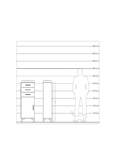 Arges Dolap 2 Raflı 2 Çekmeceli Tek Kapaklı 44x30x134 Aytaşı-çam Antrasit