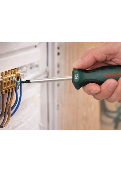 Bosch Pz1 X 100 Mm Yıldız Uçlu Tornavida 1600a03ds7