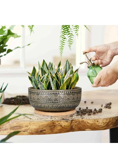 Tr İç Mekan Bitkileri İçin 20,5 Cm Seramik Sukulent Saksıları Yuvarlak Sığ Bonsai Saksı Drenaj Ve Bambu Tabağı Genel