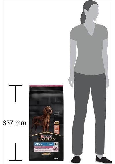 Large Athletic Adult Somonlu Köpek Maması 14 Kg