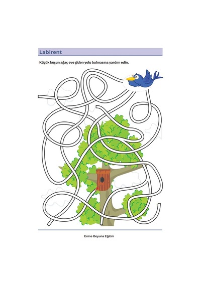 3-7 Yaş Çocuklara Labirent Kitap Seti 2 Kitap