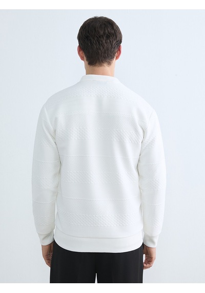 Lcw Vision Beyaz Bisiklet Yaka Erkek Sweatshirt