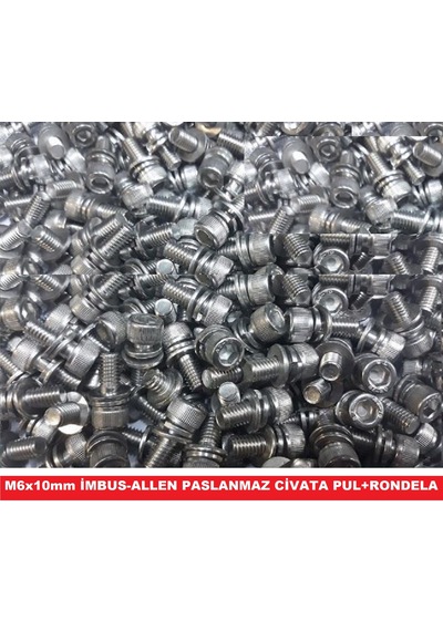 M6X10 Imbus Allen Civata Inox(Paslanmaz Çelik)Rondela ve Pullu 24 Adet