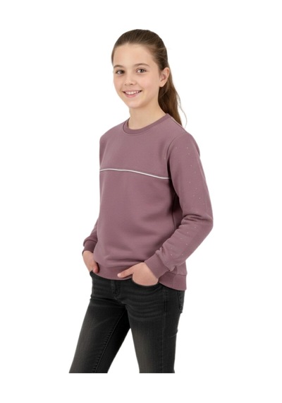 Kız Çocuk Taşlı Sweatshirt Bgl-st05268 Gül Kurusu