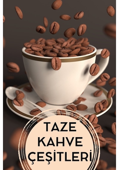 E-aktariye Darülfülfül 100 Gr