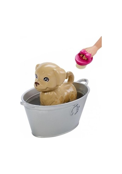 Barbie Ve Hayvanları Banyo Eğlencesi Seti Fxh11