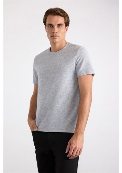 Süvari Gri Regular Bisiklet Yaka Tişört Sts1014000001-s05