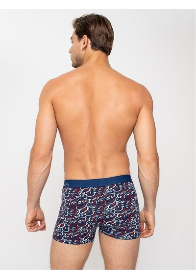 Dorea 2 Adet Erkek Desenli Boxer (445764423)