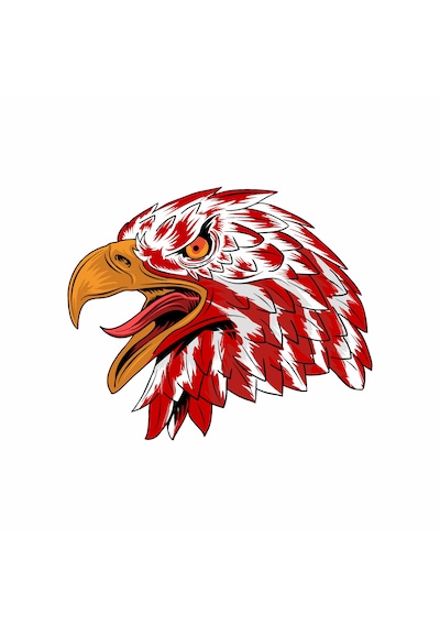 Kartal Sticker - Vahşi Kartal Sticker - Araba Oto Motosiklet Karavan Cam Sticker - 00945 10X8 Cm