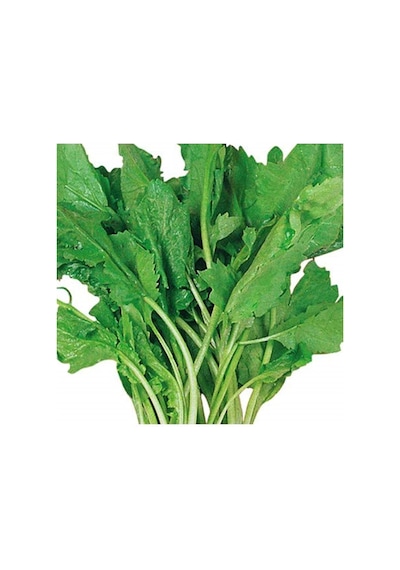 Tere Tohumu 1 Paket 25 GR Geniş Yaprak Tere Tohumu