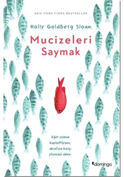 Mucizeleri Saymak