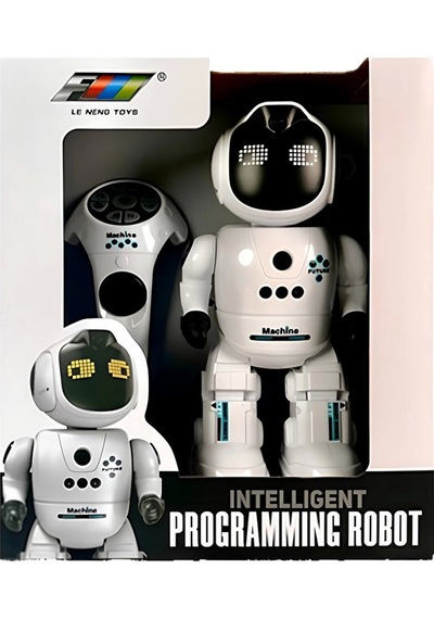 Ctoy Akıllı Etkileşimli Kumandalı Robot K46